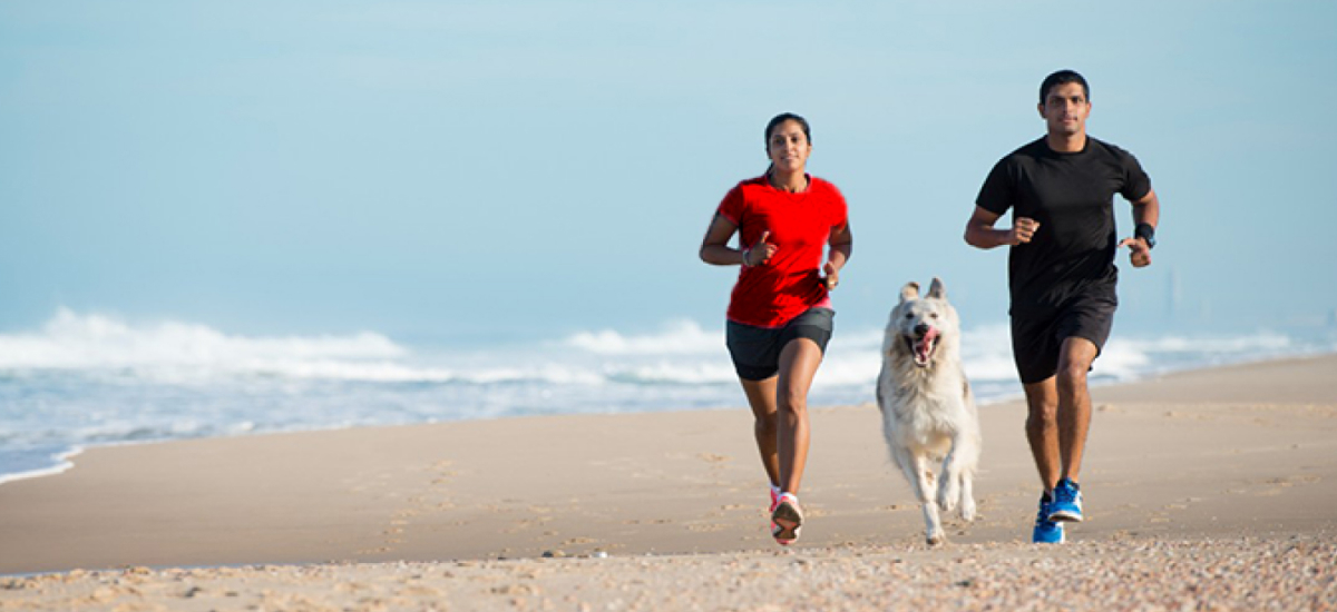 Top tips you need to know to start running with your dog