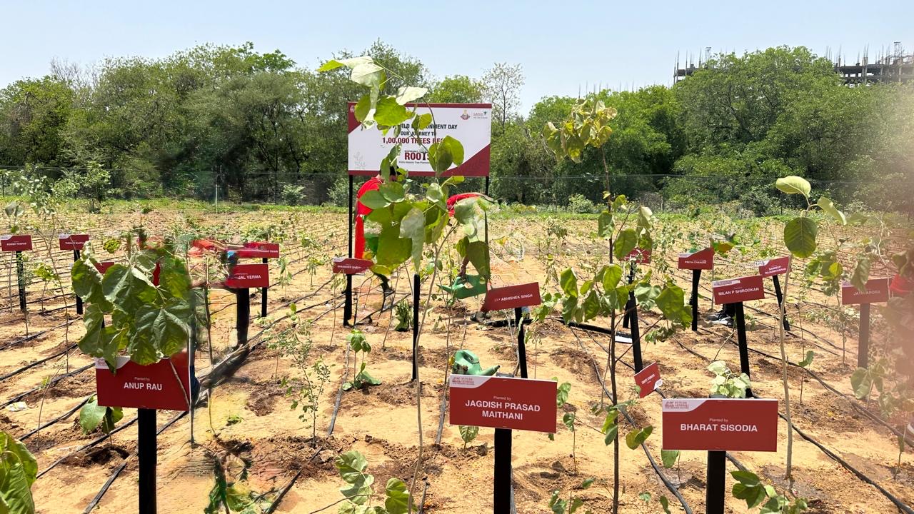 sustainability initiatives